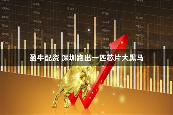 盈牛配资 深圳跑出一匹芯片大黑马