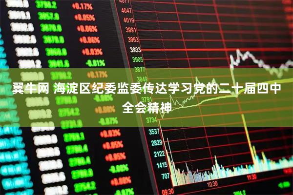 翼牛网 海淀区纪委监委传达学习党的二十届四中全会精神