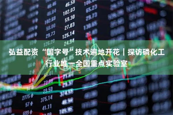 弘益配资 “国字号”技术遍地开花|探访磷化工行业唯一全国重点实验室