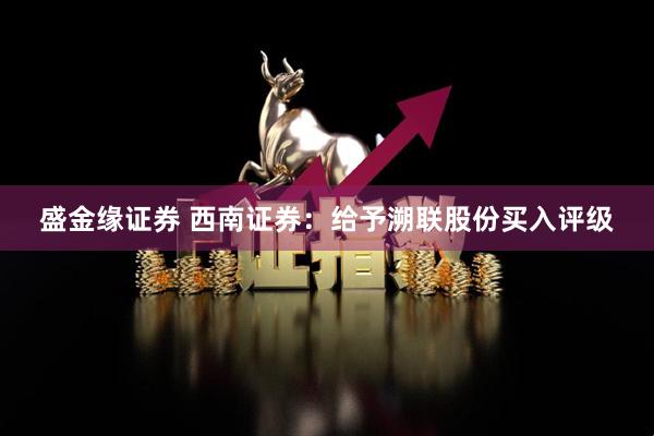 盛金缘证券 西南证券：给予溯联股份买入评级