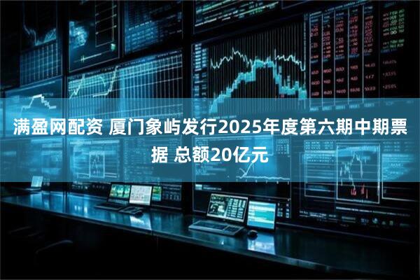 满盈网配资 厦门象屿发行2025年度第六期中期票据 总额20亿元