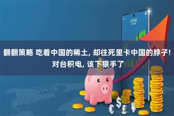 翻翻策略 吃着中国的稀土, 却往死里卡中国的脖子! 对台积电, 该下狠手了
